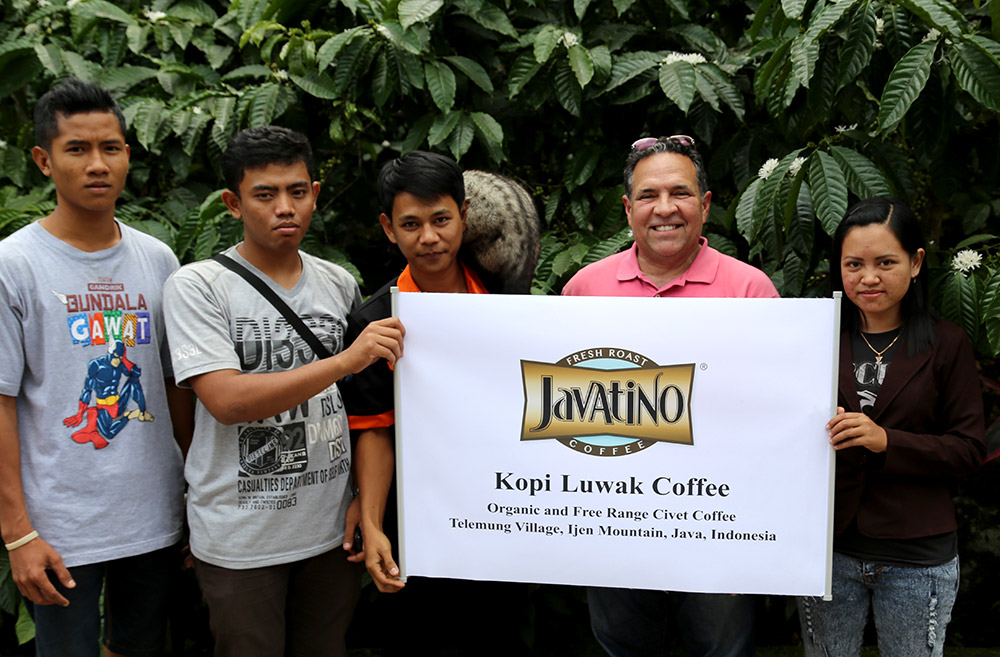 Javatino Kopi Luwak Coffee
