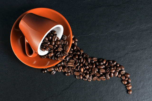 Coffee Bean Roaster
